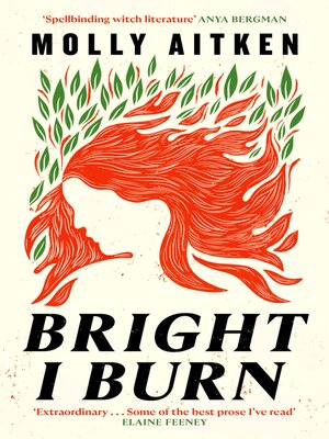 cover image of Bright I Burn